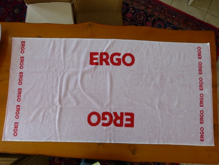 Ergo-2